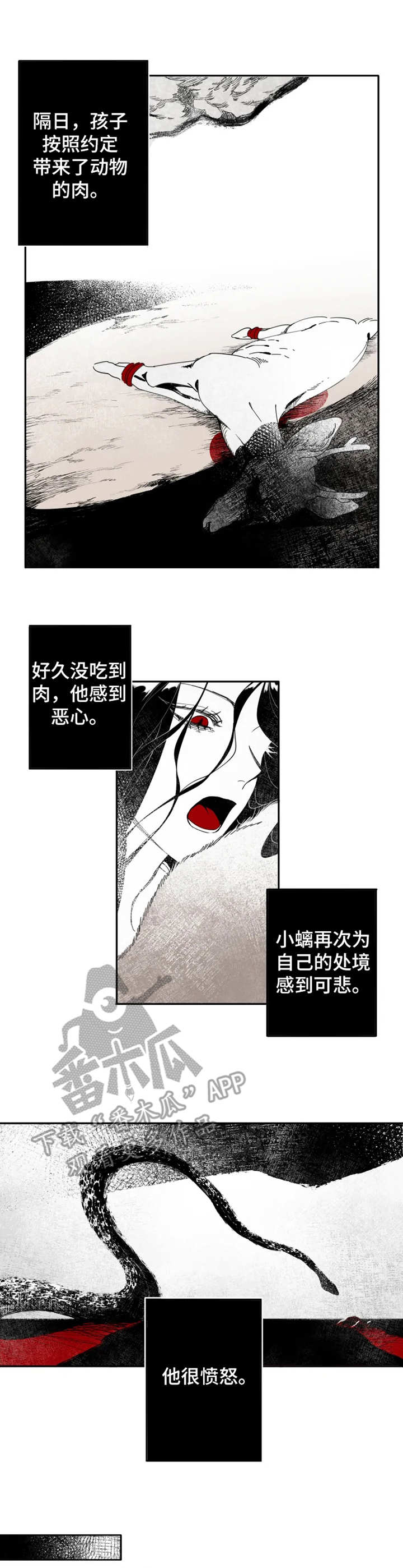 《石物语》漫画最新章节第3章：猎物免费下拉式在线观看章节第【2】张图片