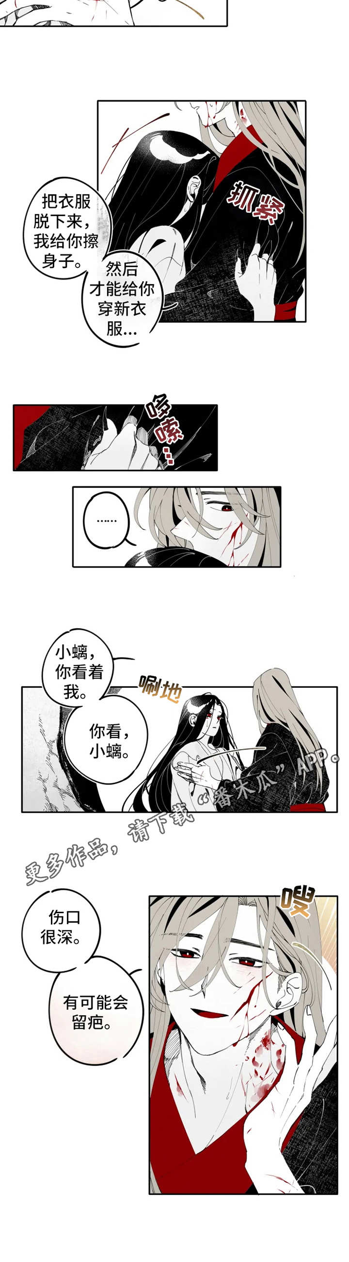 《石物语》漫画最新章节第12章：伤口免费下拉式在线观看章节第【4】张图片