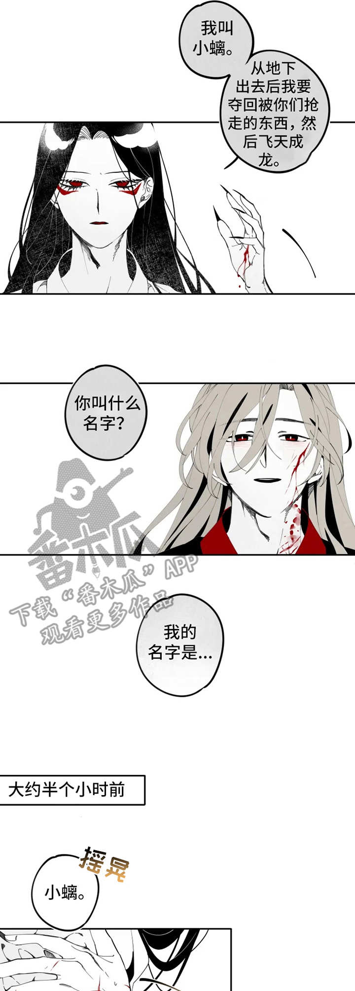 《石物语》漫画最新章节第12章：伤口免费下拉式在线观看章节第【5】张图片