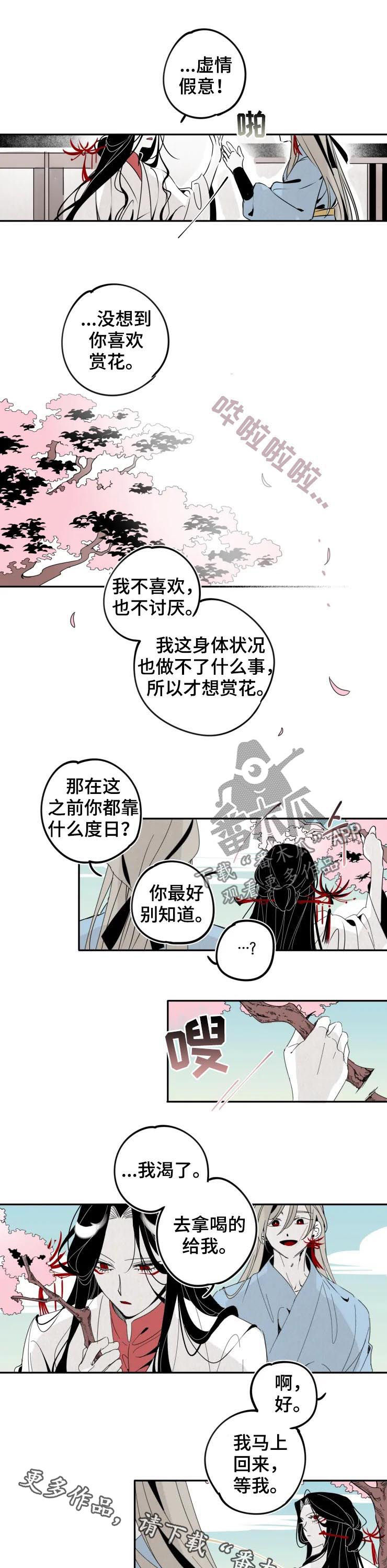 《石物语》漫画最新章节第18章：赏花免费下拉式在线观看章节第【2】张图片