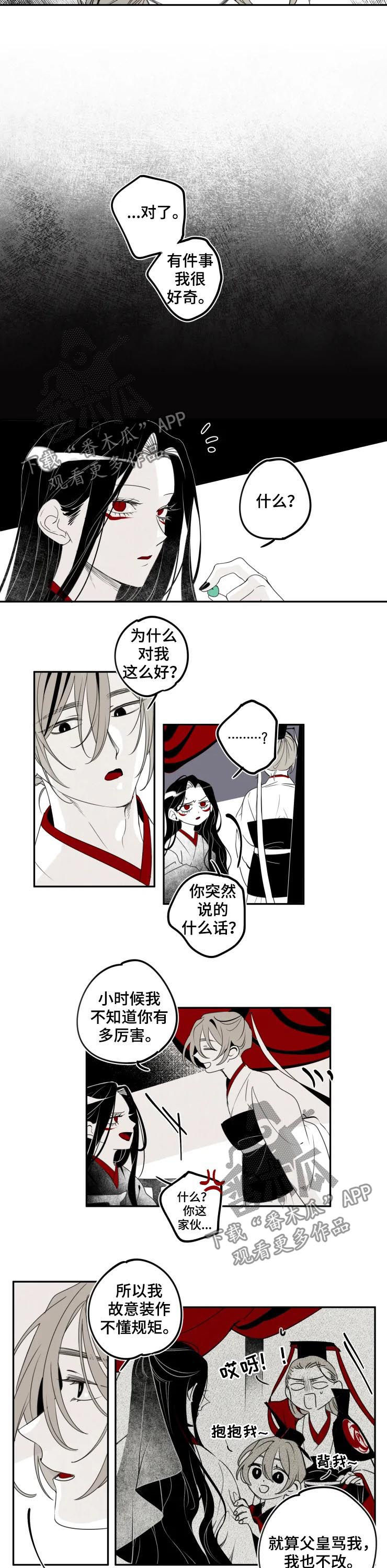 《石物语》漫画最新章节第41章：特别免费下拉式在线观看章节第【3】张图片