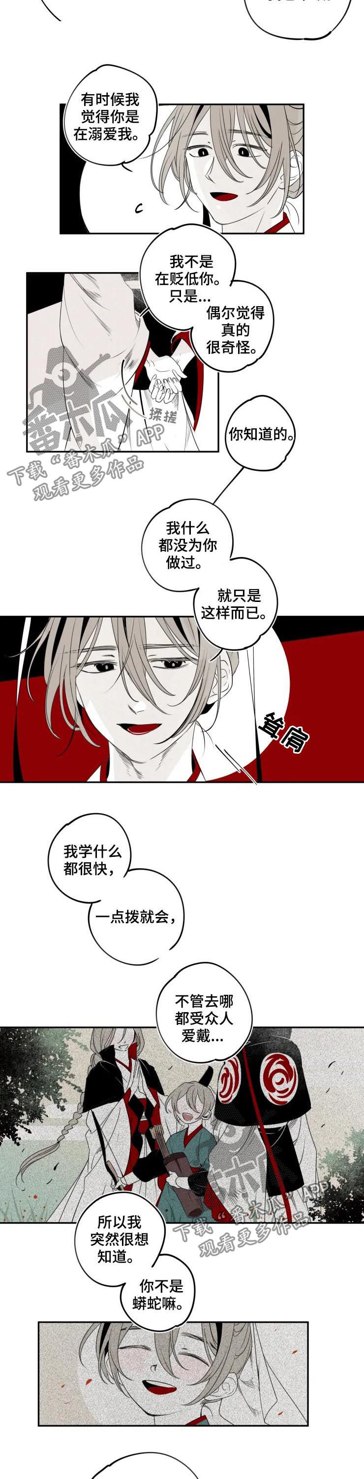 《石物语》漫画最新章节第41章：特别免费下拉式在线观看章节第【2】张图片