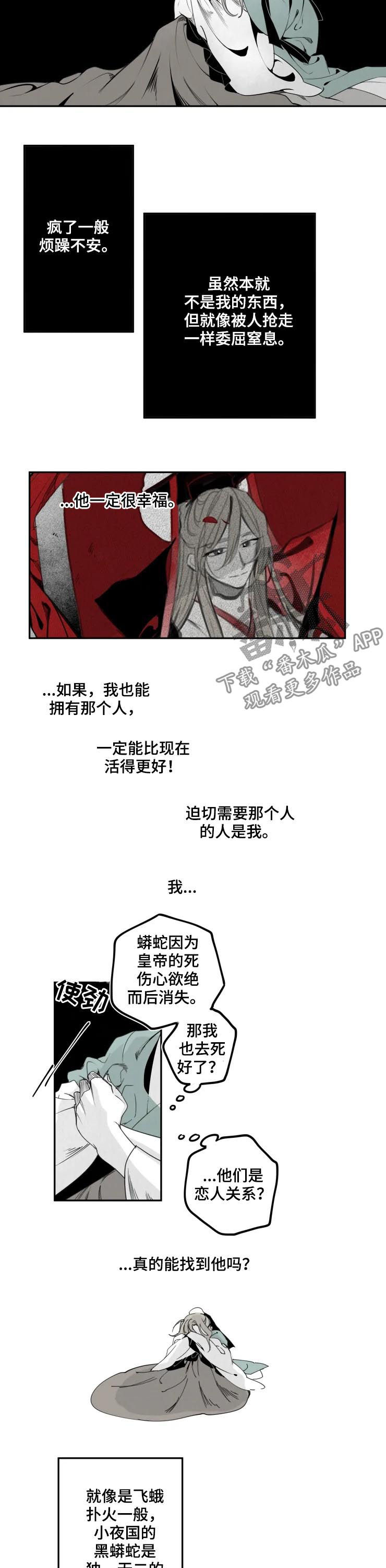 《石物语》漫画最新章节第43章：禁书免费下拉式在线观看章节第【4】张图片