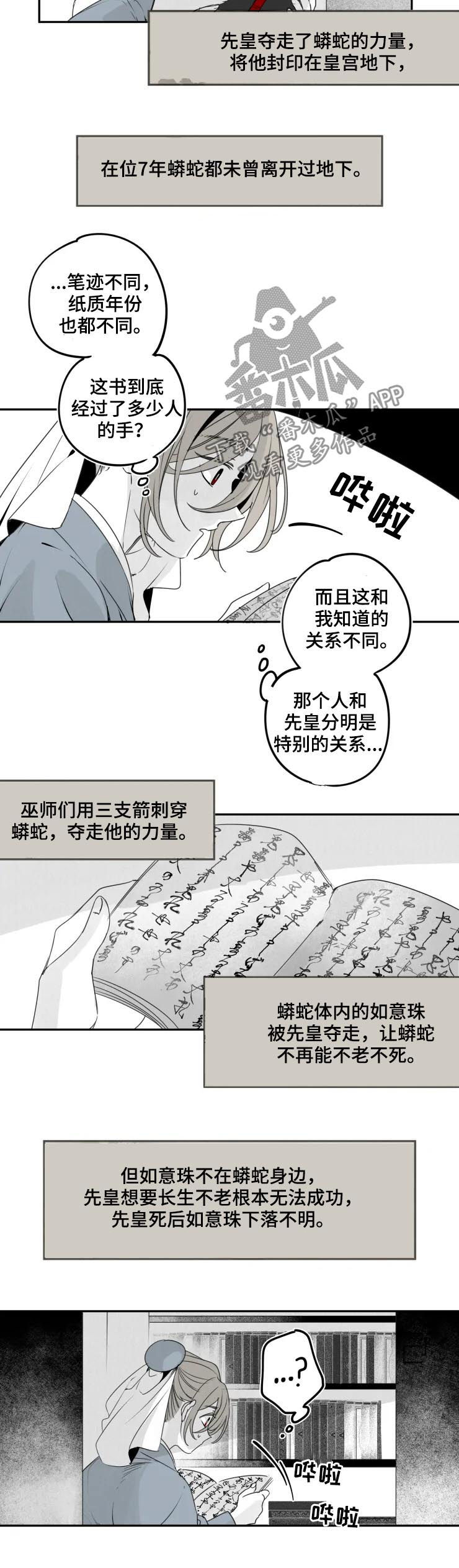 《石物语》漫画最新章节第44章：秘辛免费下拉式在线观看章节第【5】张图片