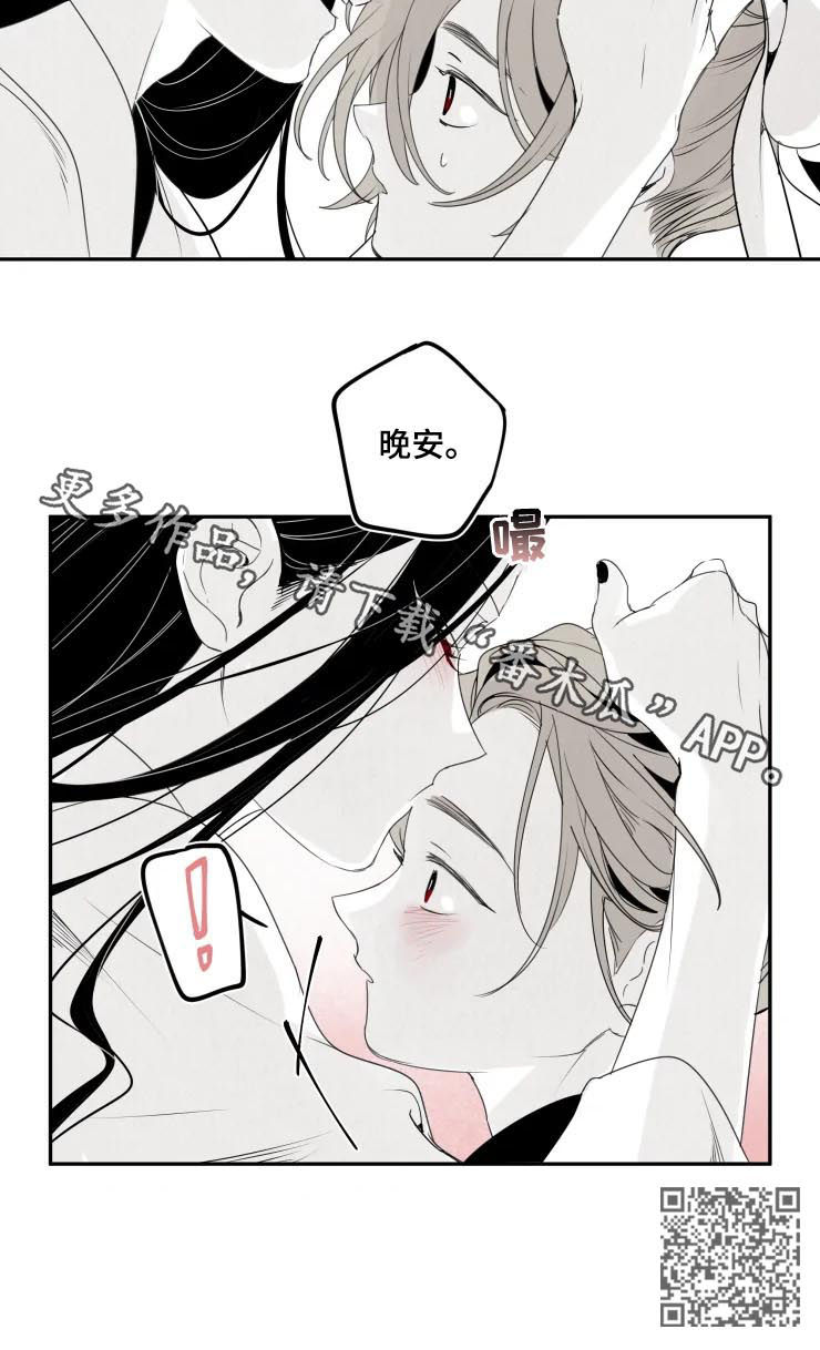 《石物语》漫画最新章节第50章：晚安免费下拉式在线观看章节第【1】张图片