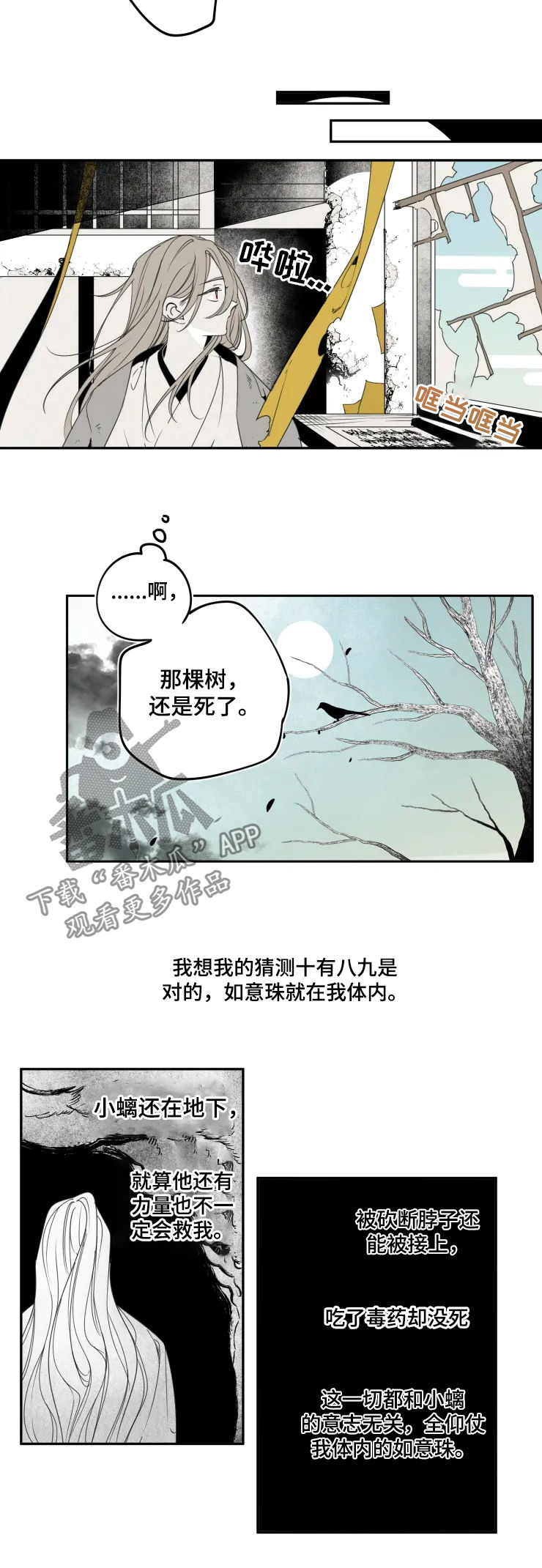 《石物语》漫画最新章节第52章：惋惜免费下拉式在线观看章节第【3】张图片