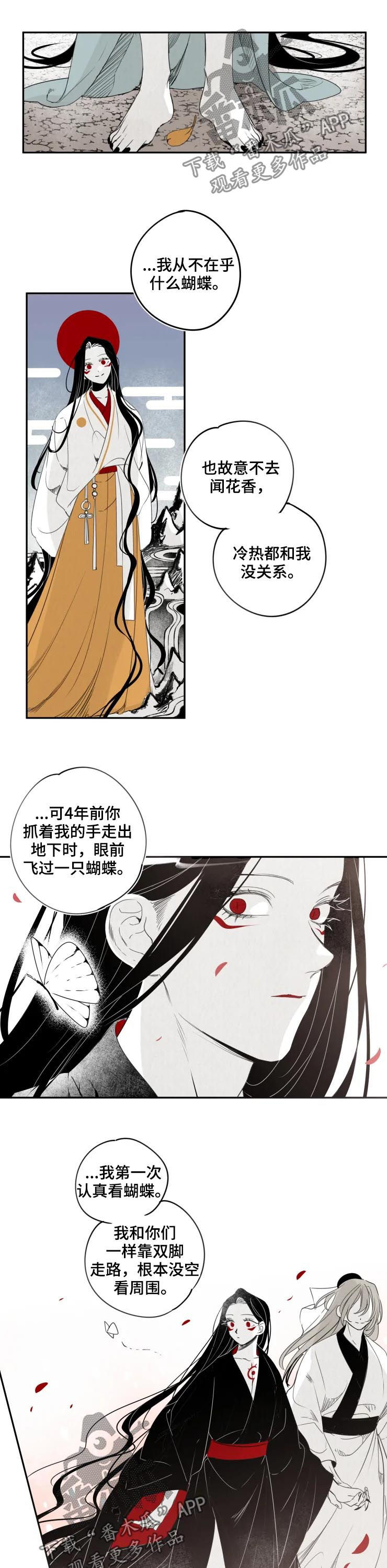 《石物语》漫画最新章节第66章：为什么这么做？免费下拉式在线观看章节第【3】张图片