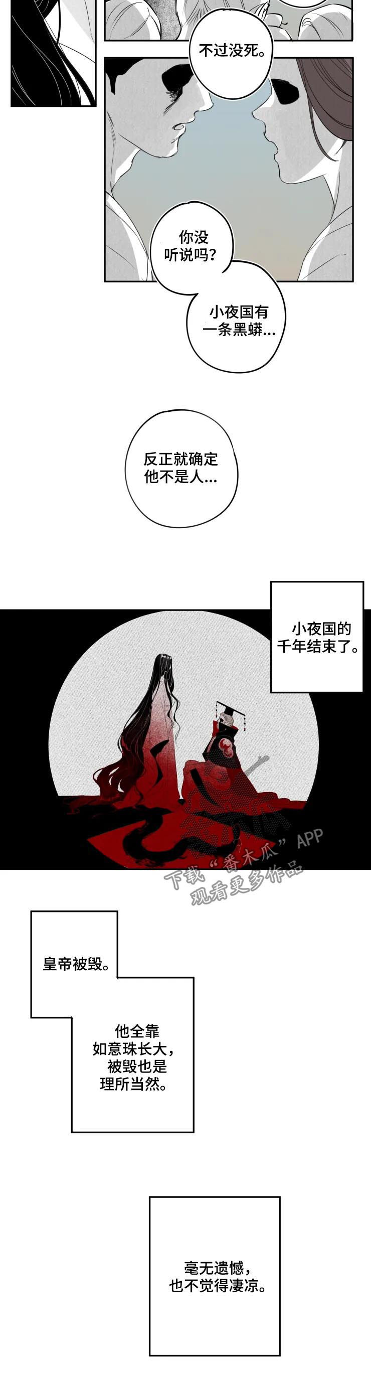 《石物语》漫画最新章节第69章：欢迎回来免费下拉式在线观看章节第【4】张图片