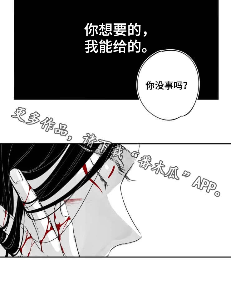 《石物语》漫画最新章节第72章：遗言免费下拉式在线观看章节第【1】张图片