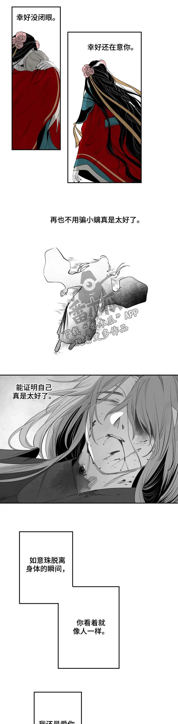 《石物语》漫画最新章节第75章：证明免费下拉式在线观看章节第【5】张图片