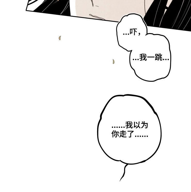 《石物语》漫画最新章节第82章：【番外】无法理解免费下拉式在线观看章节第【4】张图片