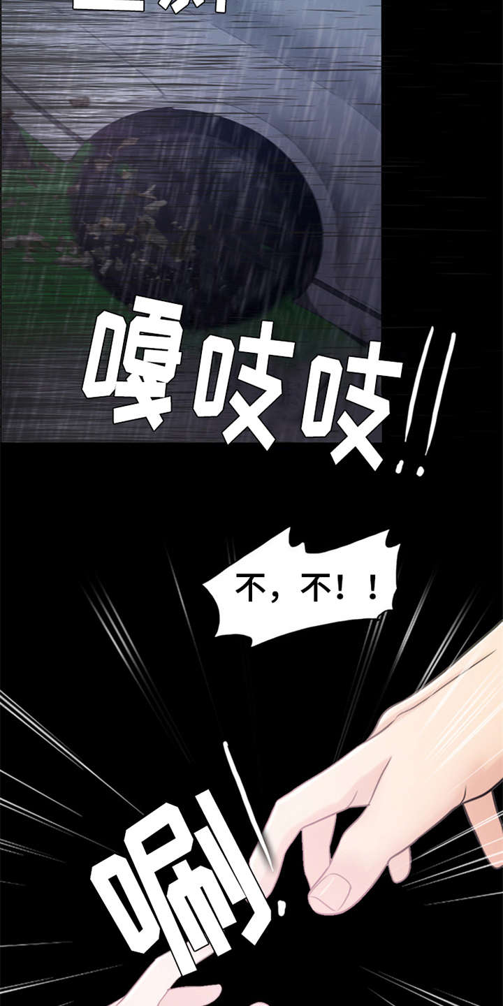 《灵魂的主人》漫画最新章节第23章：雷雨天免费下拉式在线观看章节第【12】张图片