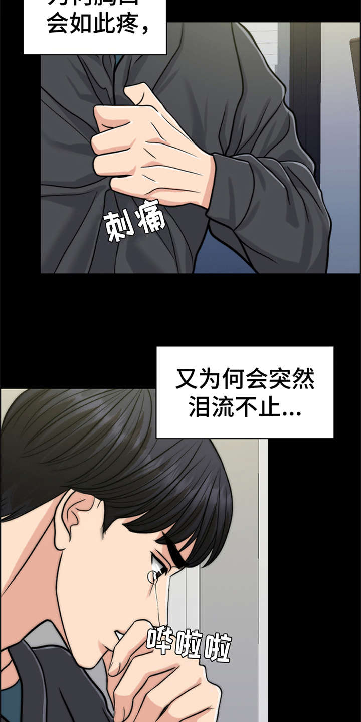 《灵魂的主人》漫画最新章节第25章：心痛免费下拉式在线观看章节第【17】张图片