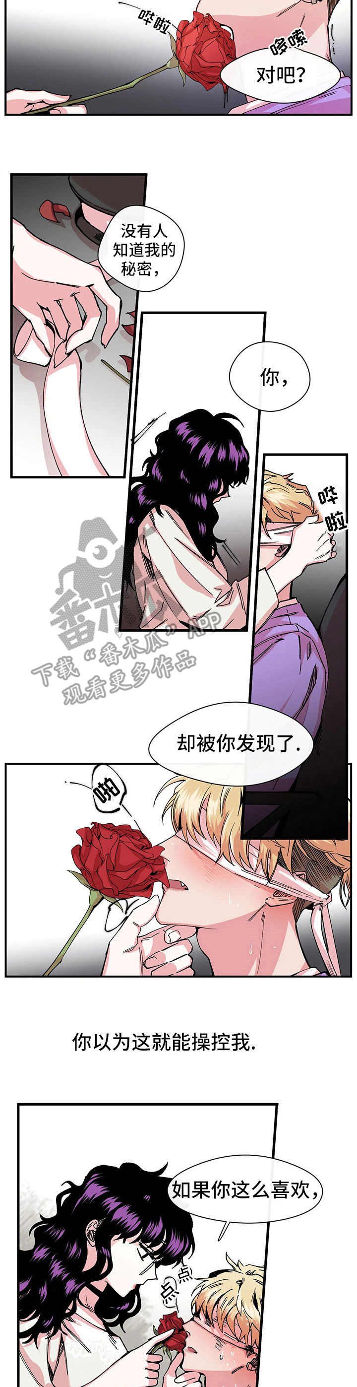 《刺玫瑰》漫画最新章节第10章：另一面免费下拉式在线观看章节第【2】张图片