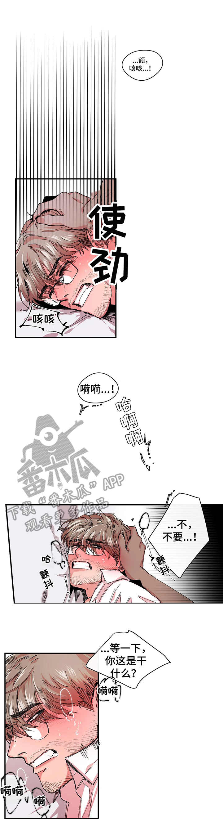 《刺玫瑰》漫画最新章节第14章：影片免费下拉式在线观看章节第【5】张图片