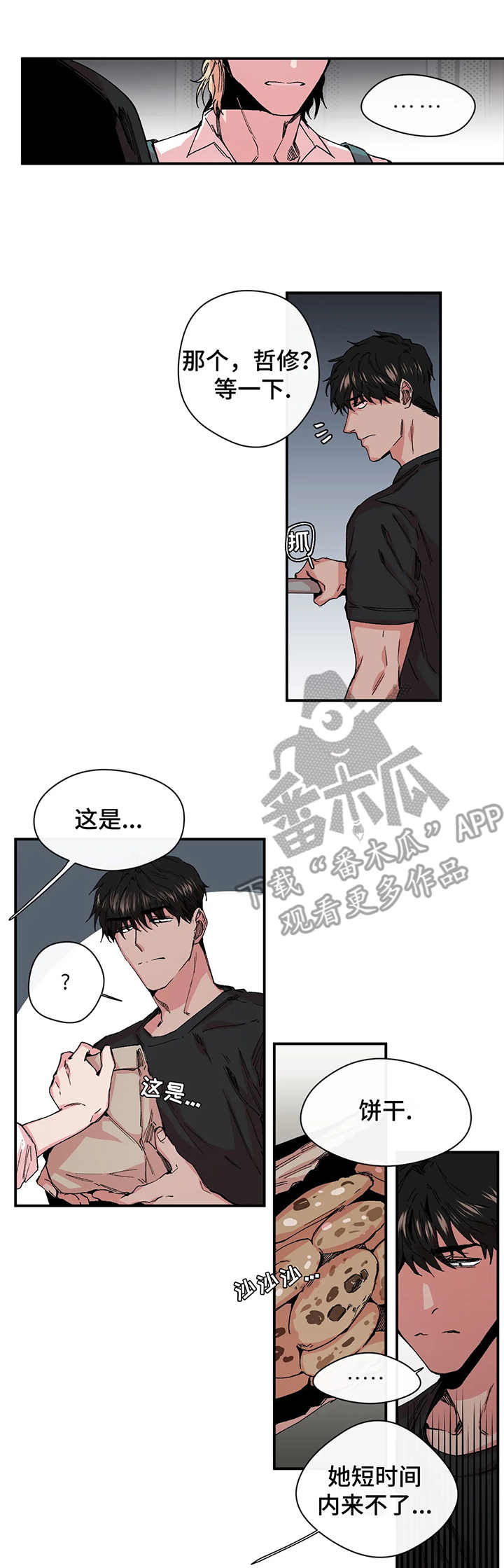 《刺玫瑰》漫画最新章节第17章：黑手免费下拉式在线观看章节第【11】张图片