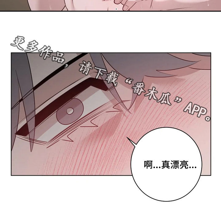 《被侵蚀的上班族》漫画最新章节第43章：真漂亮免费下拉式在线观看章节第【1】张图片