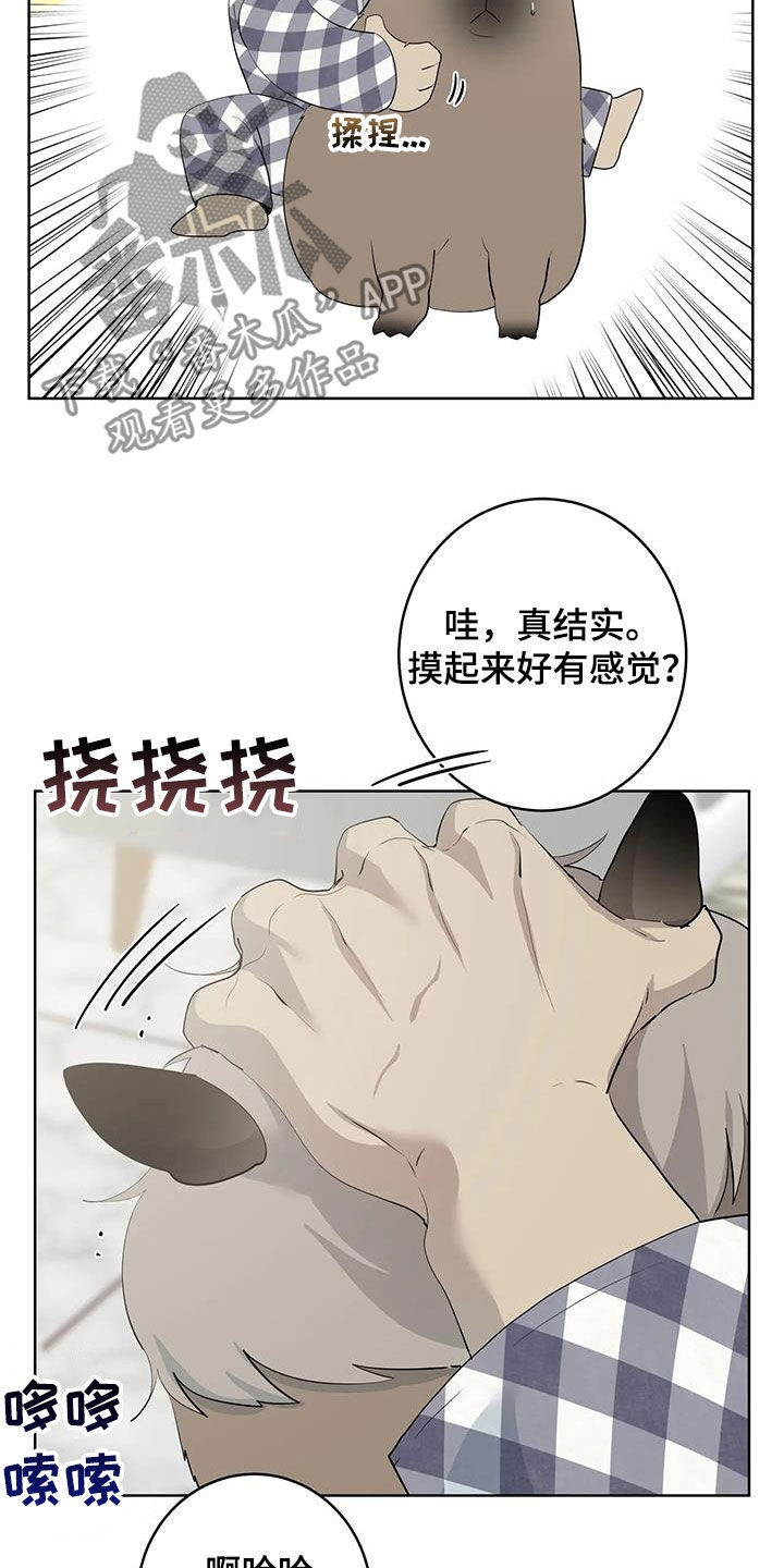 《被侵蚀的上班族》漫画最新章节第94章：【第二季】变身免费下拉式在线观看章节第【11】张图片