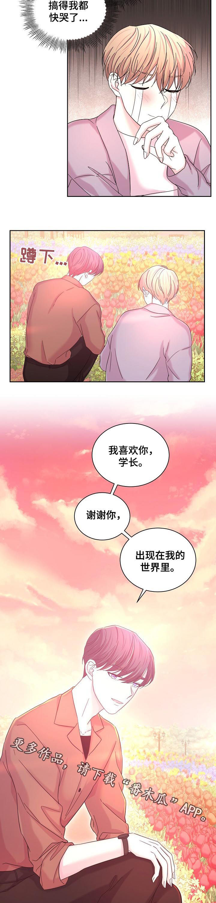 《十次睡眠》漫画最新章节第62章：花海免费下拉式在线观看章节第【2】张图片