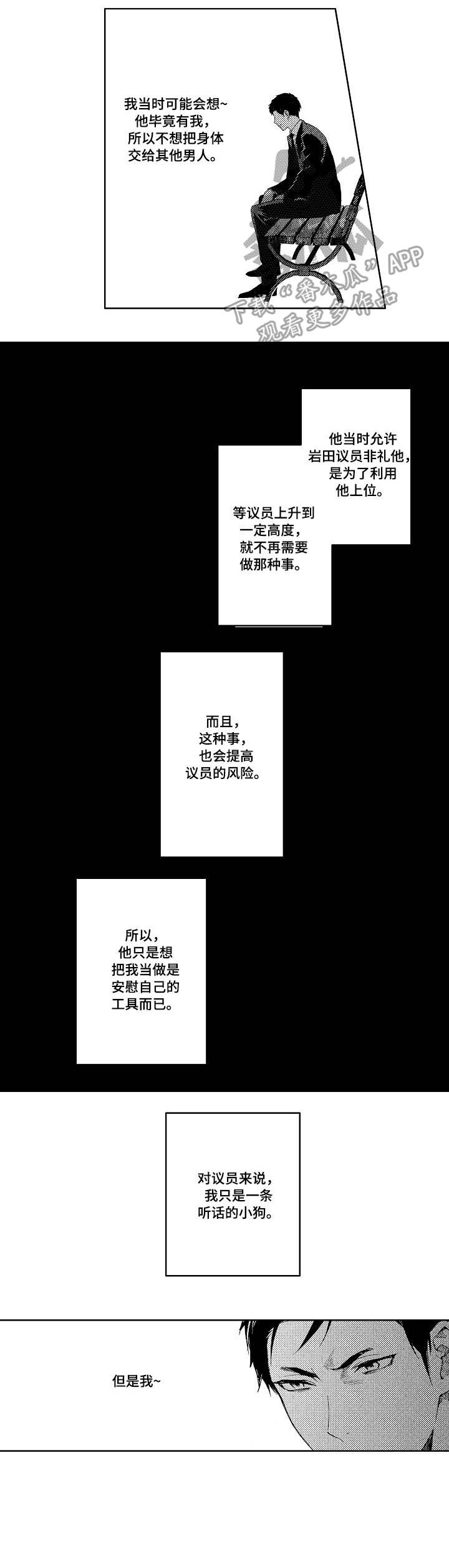 《秘密议员》漫画最新章节第12章：实情免费下拉式在线观看章节第【6】张图片