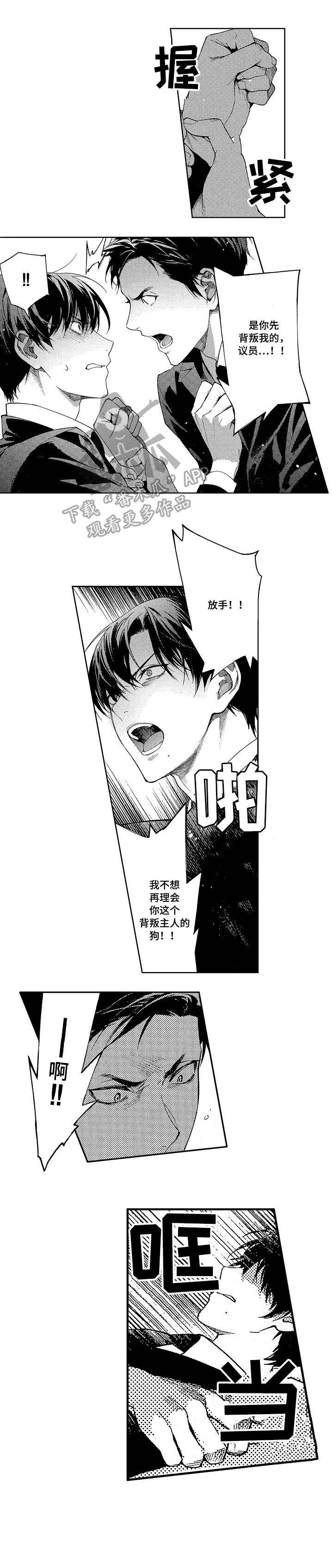 《秘密议员》漫画最新章节第15章：反目免费下拉式在线观看章节第【8】张图片