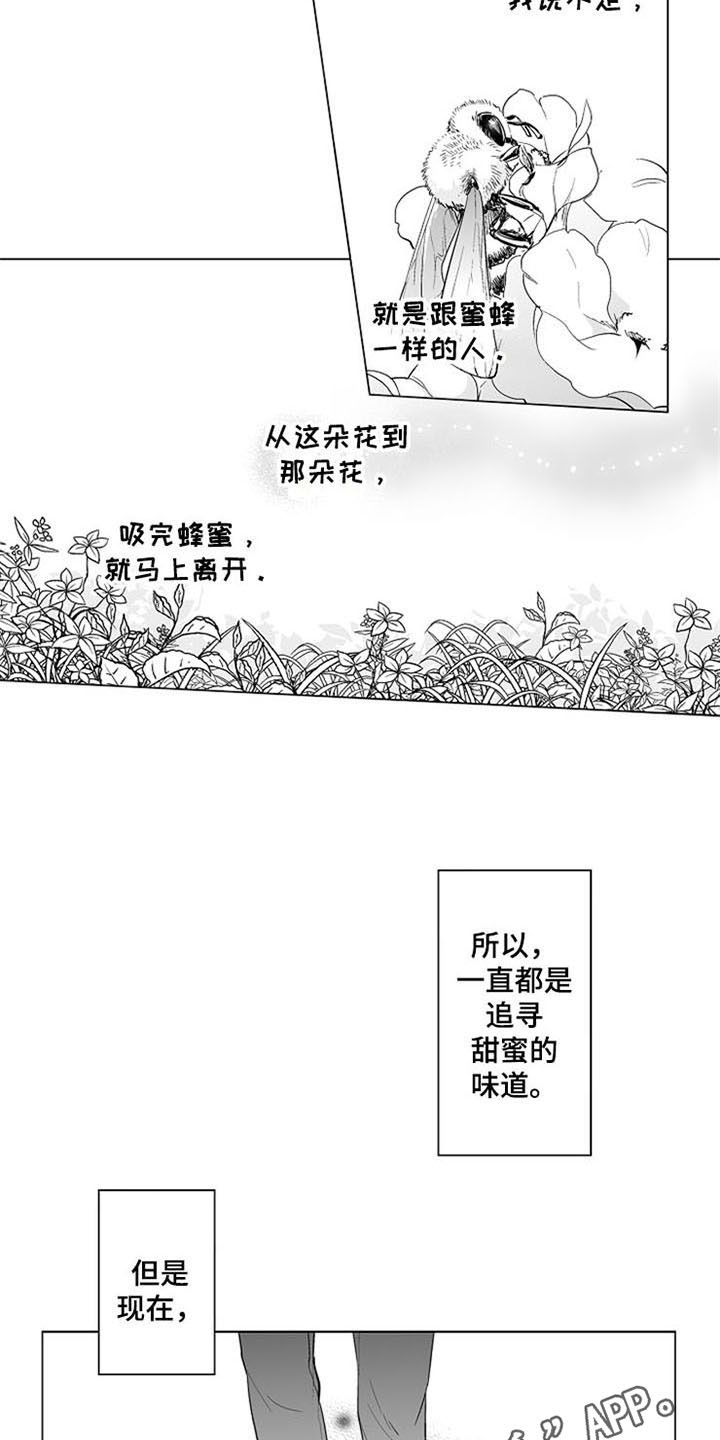 《蜜枫花糖》漫画最新章节第13章：逃离免费下拉式在线观看章节第【2】张图片