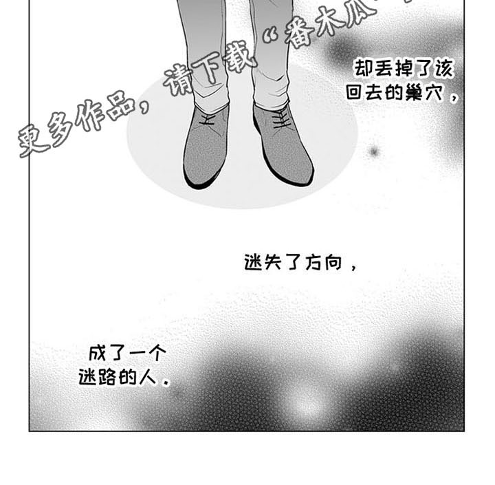 《蜜枫花糖》漫画最新章节第13章：逃离免费下拉式在线观看章节第【1】张图片