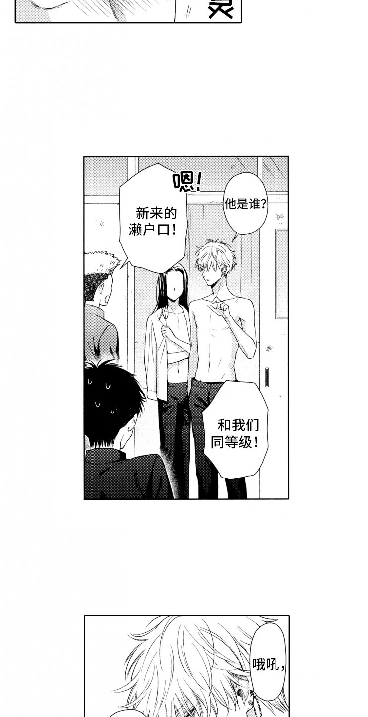 《校霸不好惹》漫画最新章节第1章：狗急跳墙免费下拉式在线观看章节第【11】张图片