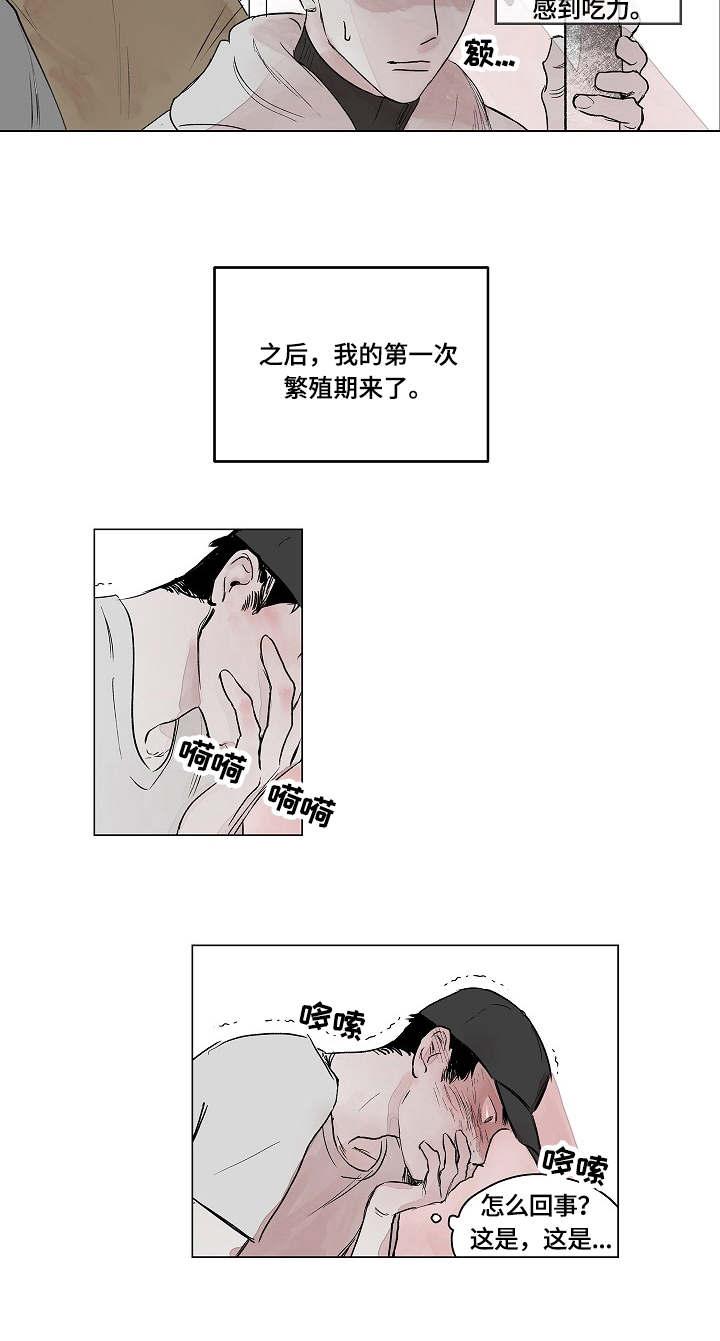 《辗转反侧》漫画最新章节第1章：欧米伽免费下拉式在线观看章节第【5】张图片