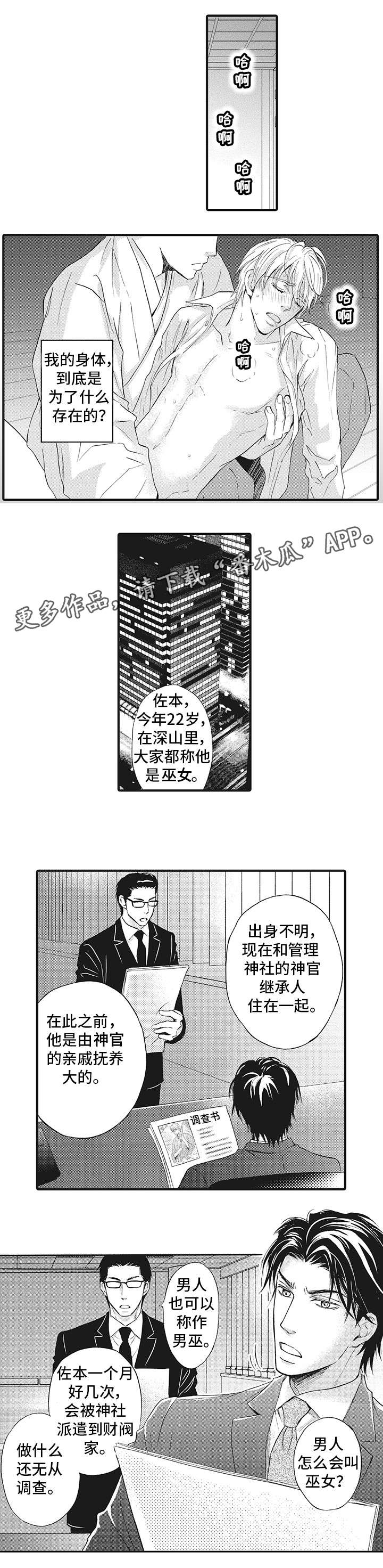 《厄运巫师》漫画最新章节第3章：巫女免费下拉式在线观看章节第【3】张图片