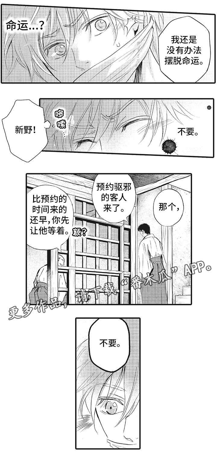 《厄运巫师》漫画最新章节第18章：不要免费下拉式在线观看章节第【1】张图片