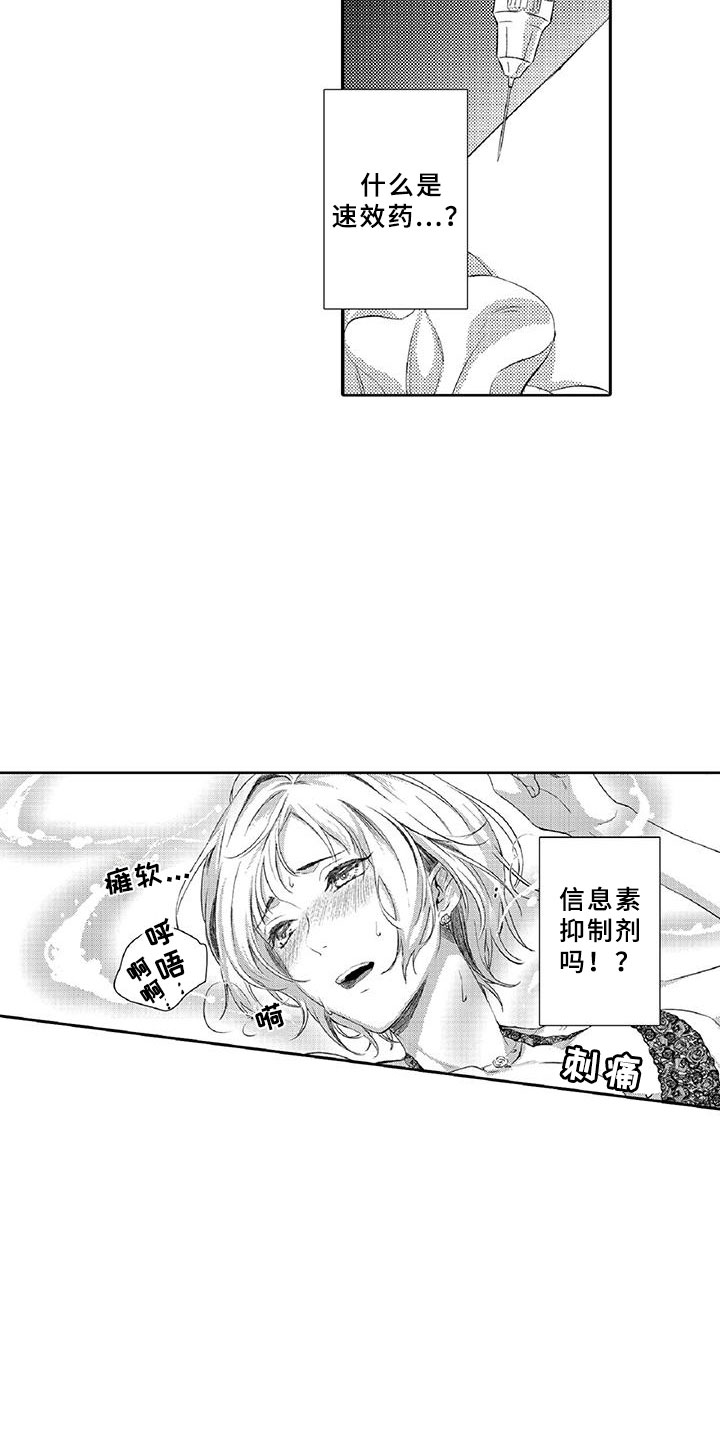 《黑道之恋》漫画最新章节第3章：新手免费下拉式在线观看章节第【19】张图片