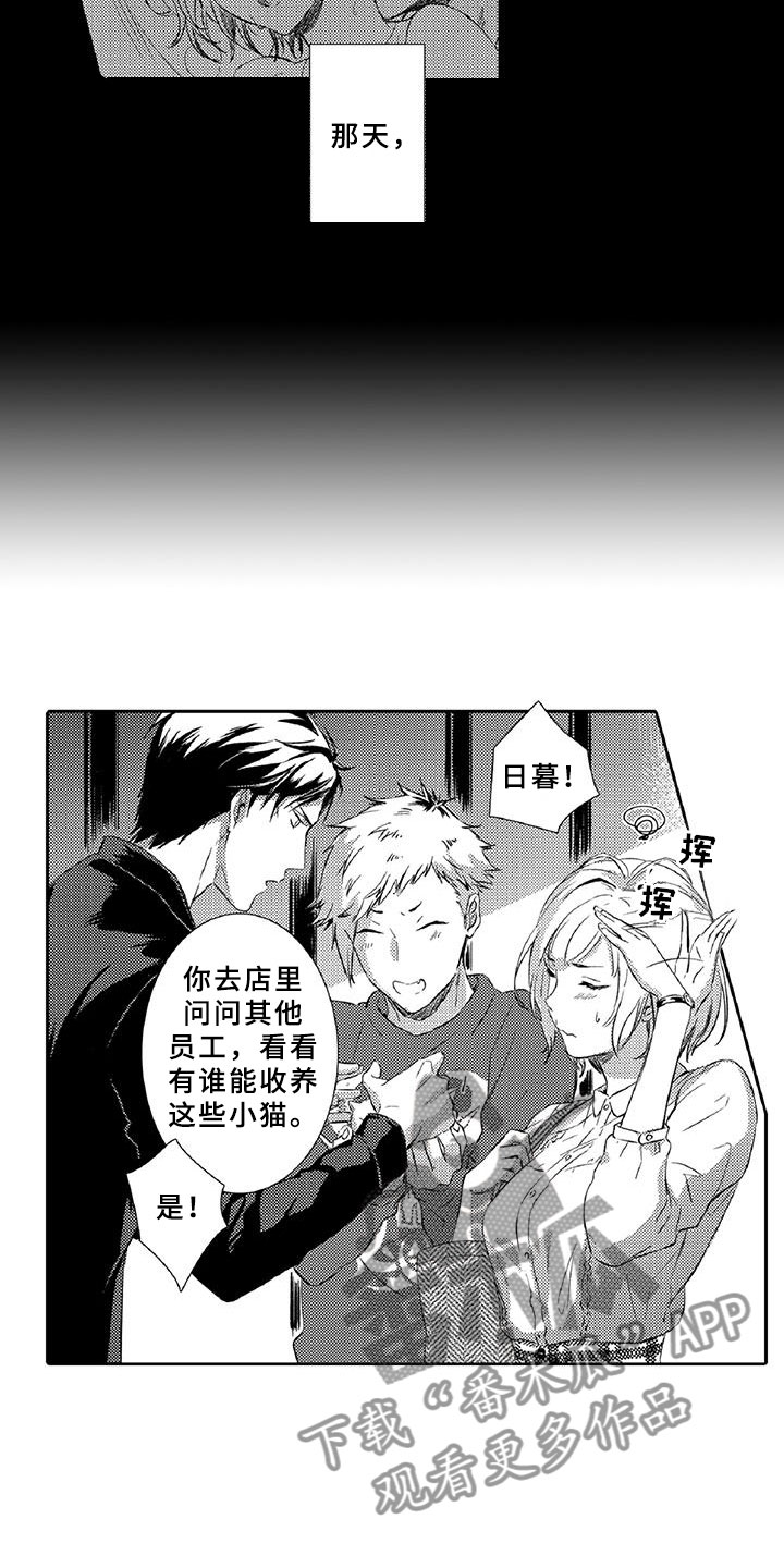 《黑道之恋》漫画最新章节第7章：药钱免费下拉式在线观看章节第【20】张图片