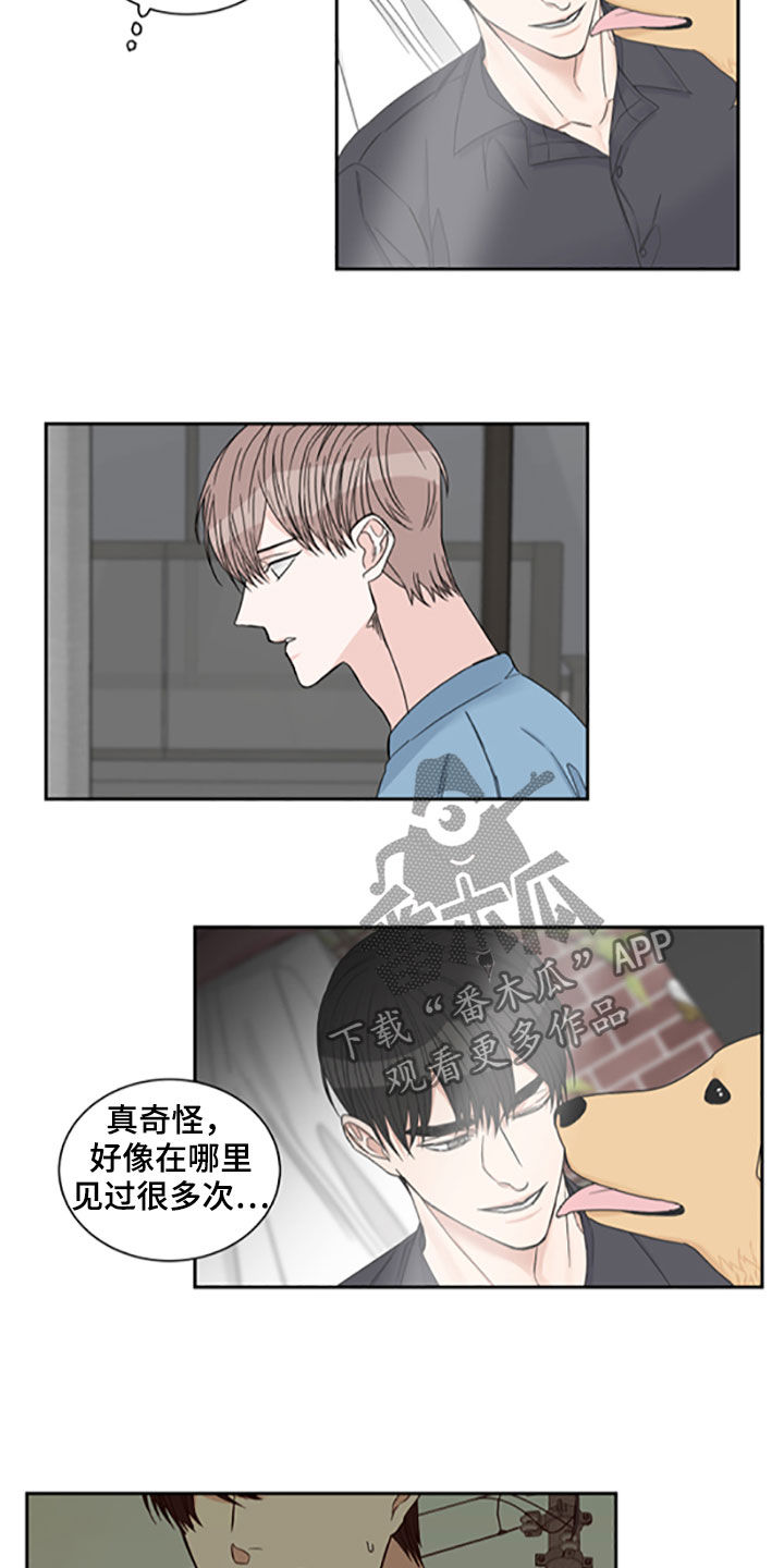 《终点线》漫画最新章节第40章：照片免费下拉式在线观看章节第【6】张图片