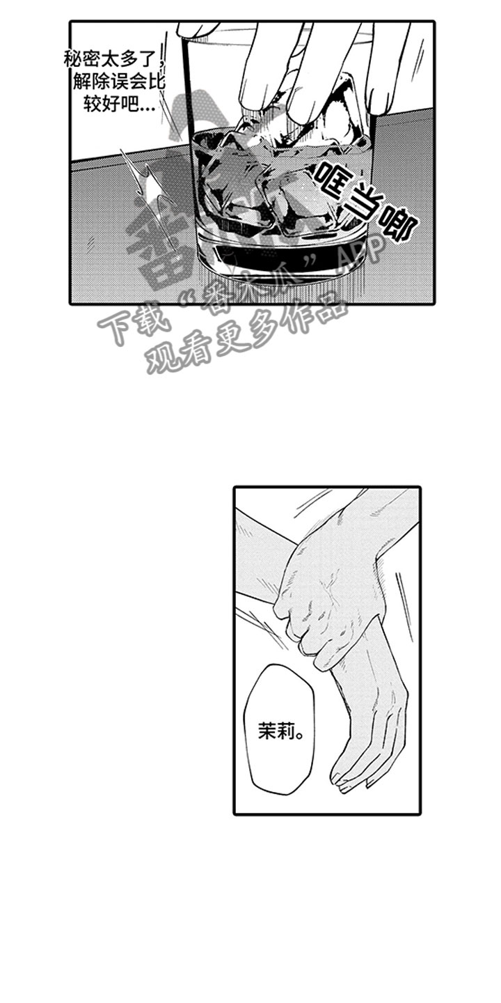 《歌舞伎之旅》漫画最新章节第10章：第一个秘密免费下拉式在线观看章节第【17】张图片