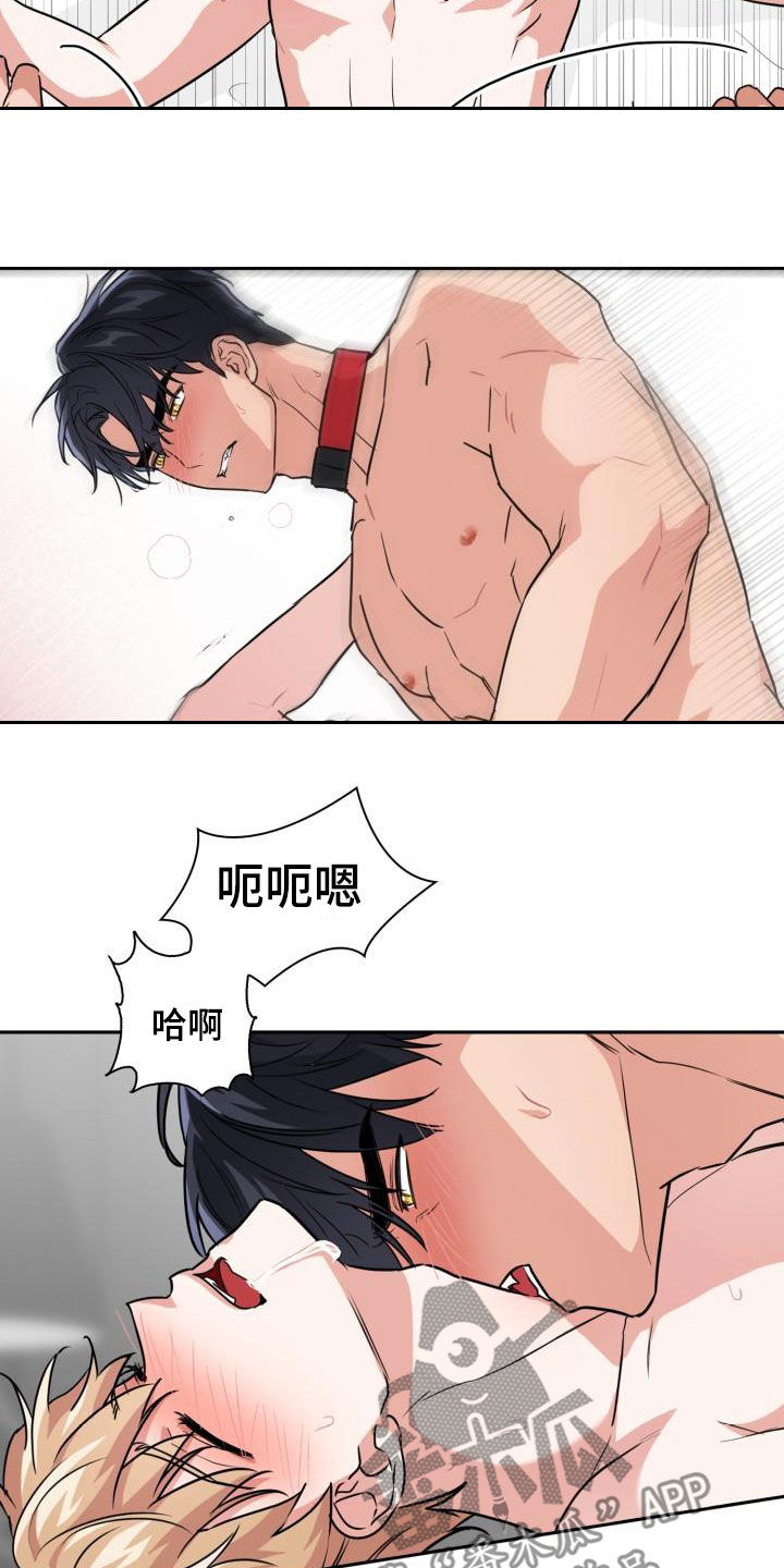 《兽现文字》漫画最新章节第78章：【第二季】权限免费下拉式在线观看章节第【8】张图片