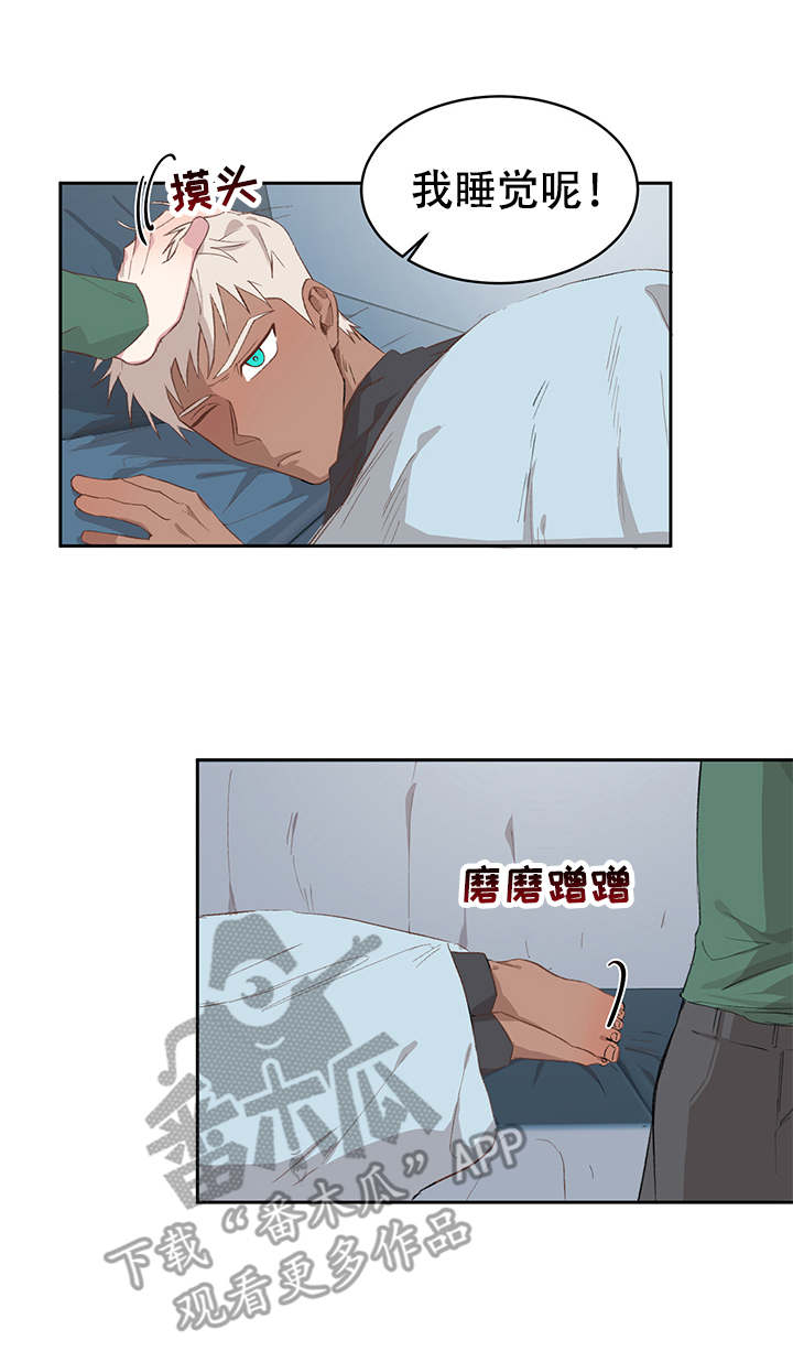 《进击的蜗牛》漫画最新章节第11章：出差免费下拉式在线观看章节第【4】张图片