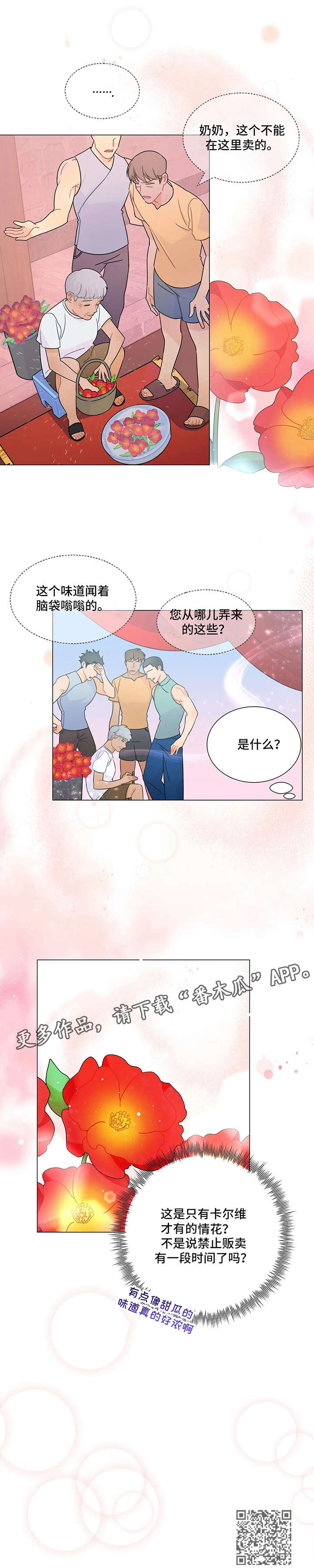 《异国浪漫》漫画最新章节第5章：花免费下拉式在线观看章节第【6】张图片