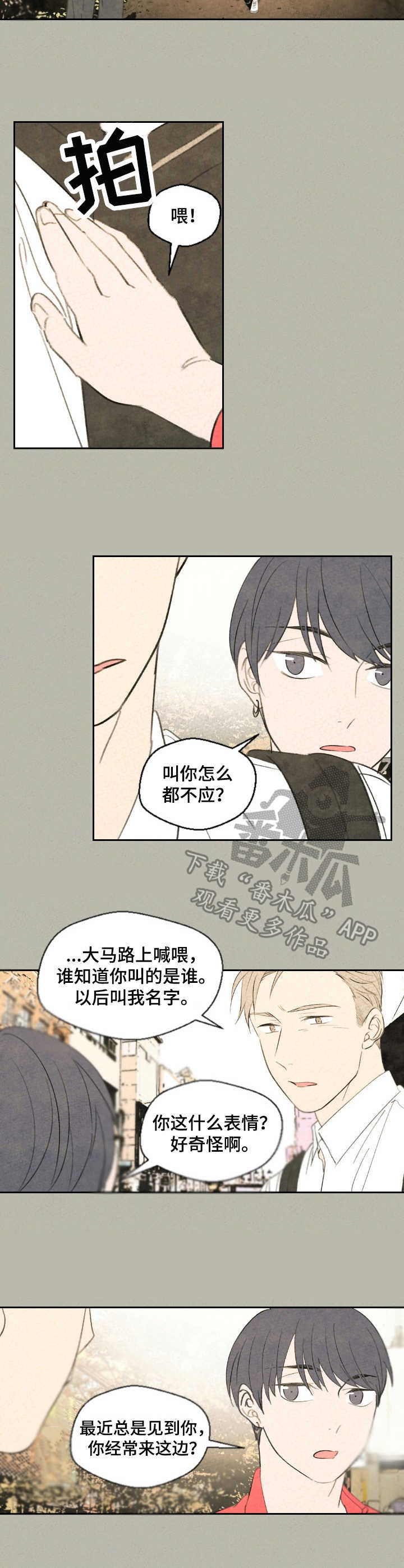 《伴生灵物》漫画最新章节第25章：有话说免费下拉式在线观看章节第【5】张图片