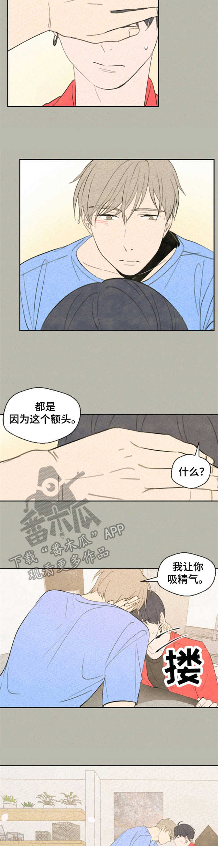 《伴生灵物》漫画最新章节第28章：照片免费下拉式在线观看章节第【4】张图片