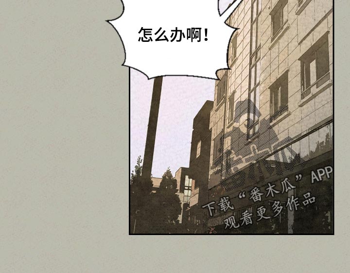 《伴生灵物》漫画最新章节第41章：手链的事免费下拉式在线观看章节第【1】张图片