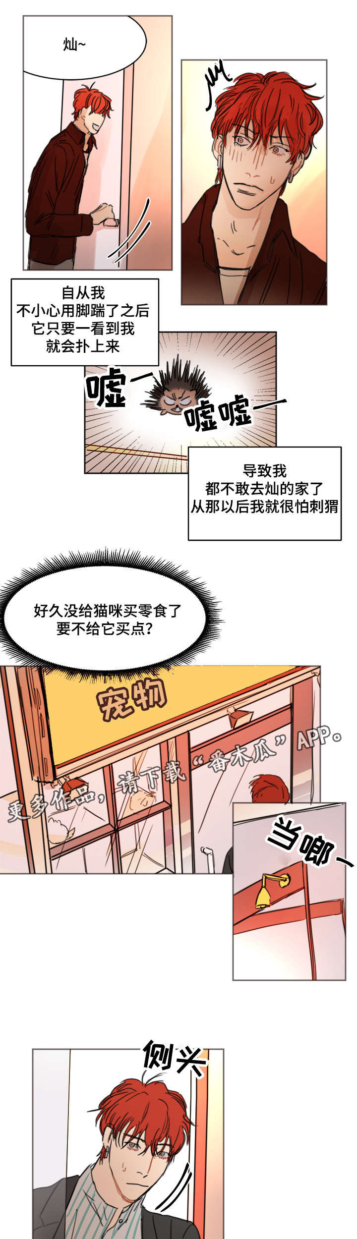 《单独尺码》漫画最新章节第7章：刺猬免费下拉式在线观看章节第【5】张图片