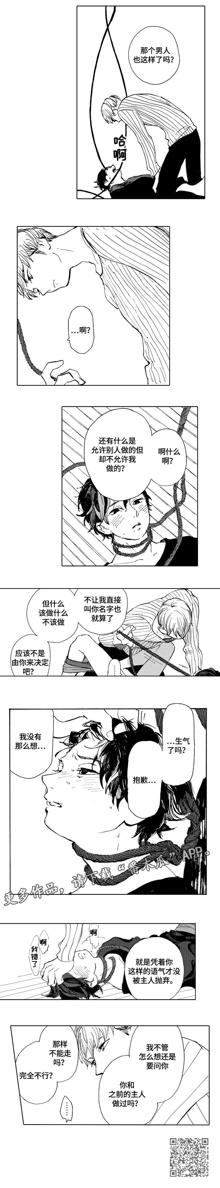 《星空之梦》漫画最新章节第6章：吊起免费下拉式在线观看章节第【1】张图片