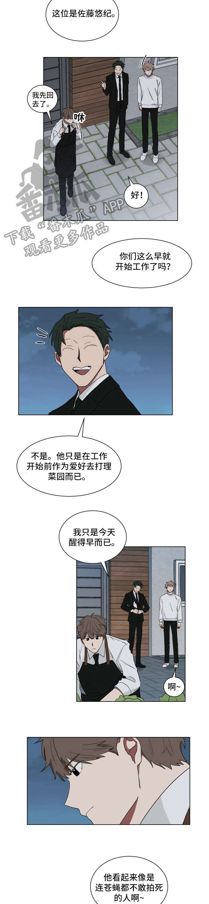 《如果你喜欢》漫画最新章节第11章：乱糟糟免费下拉式在线观看章节第【2】张图片