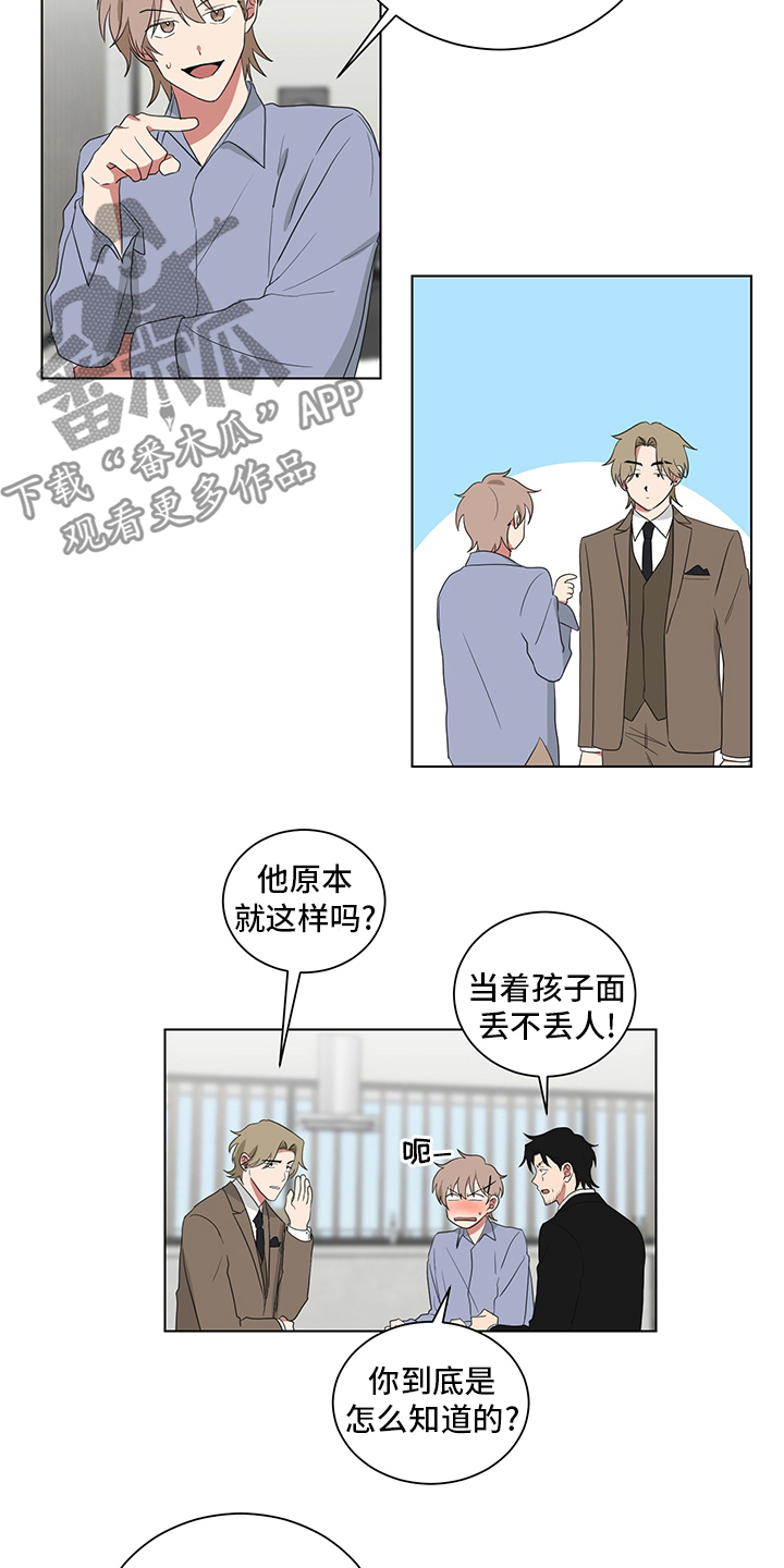 《如果你喜欢》漫画最新章节第118章：照片免费下拉式在线观看章节第【5】张图片