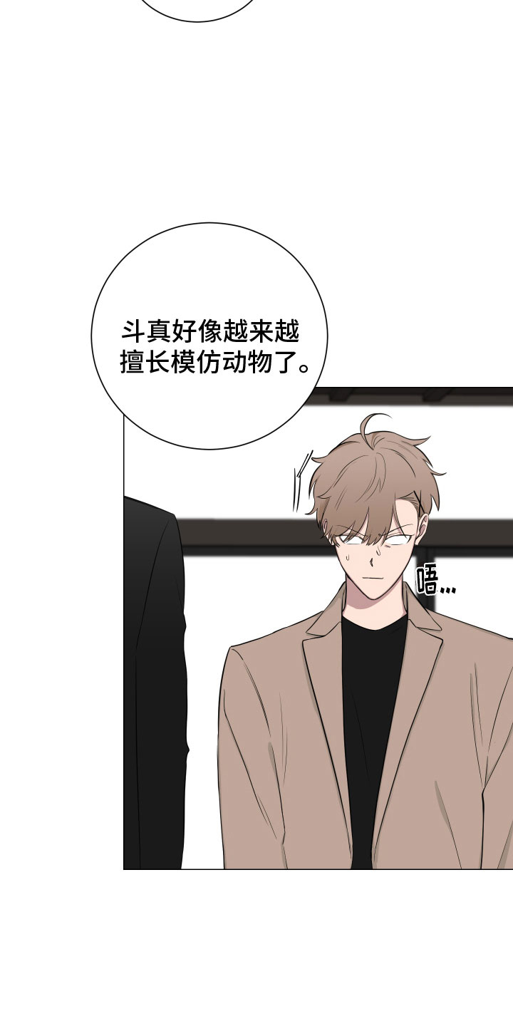 《如果你喜欢》漫画最新章节第131章：【第二季】老爷子免费下拉式在线观看章节第【20】张图片