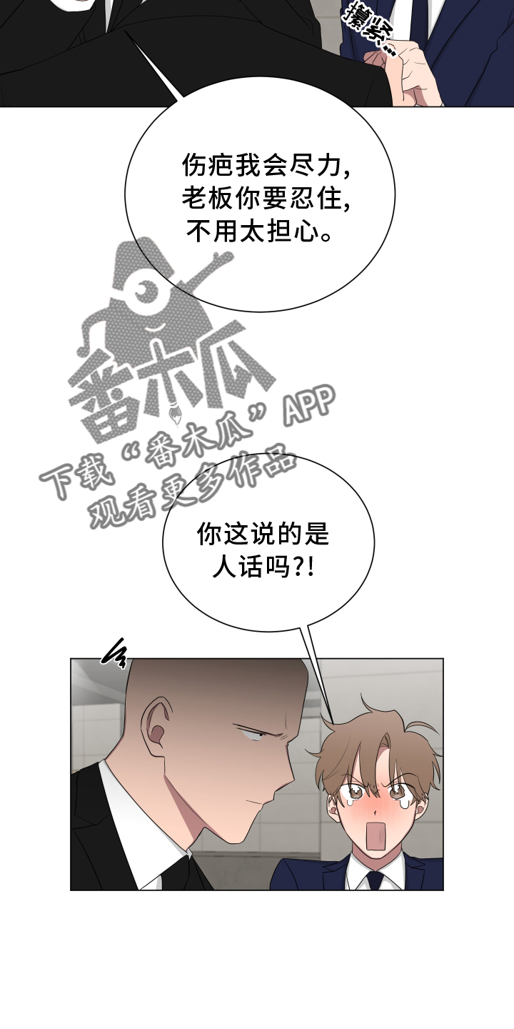 《如果你喜欢》漫画最新章节第164章：【第二季完结】眼力见免费下拉式在线观看章节第【12】张图片