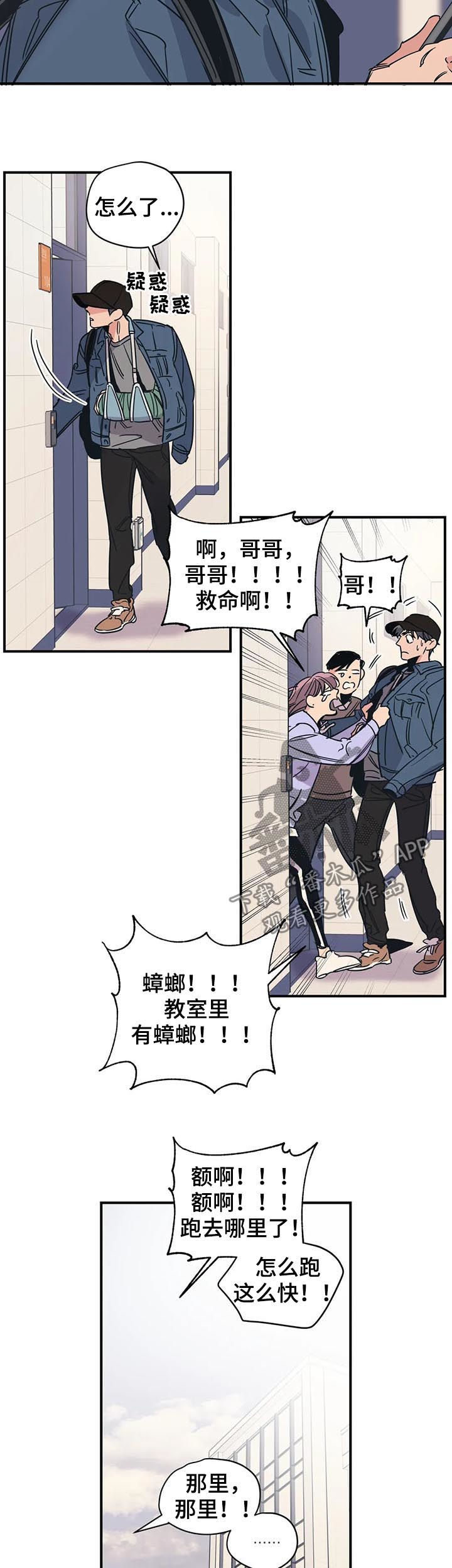 《百万浪漫史》漫画最新章节第35章：别莽撞免费下拉式在线观看章节第【4】张图片