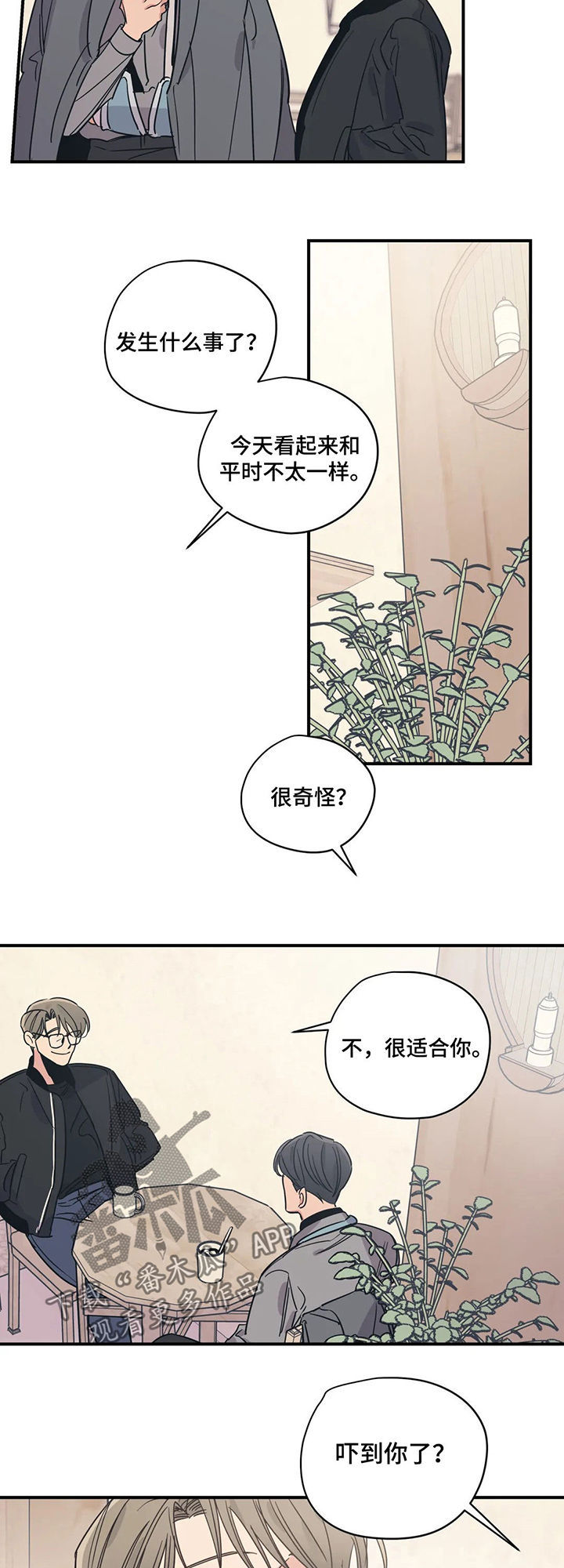 《百万浪漫史》漫画最新章节第61章：盲目的勇气免费下拉式在线观看章节第【11】张图片