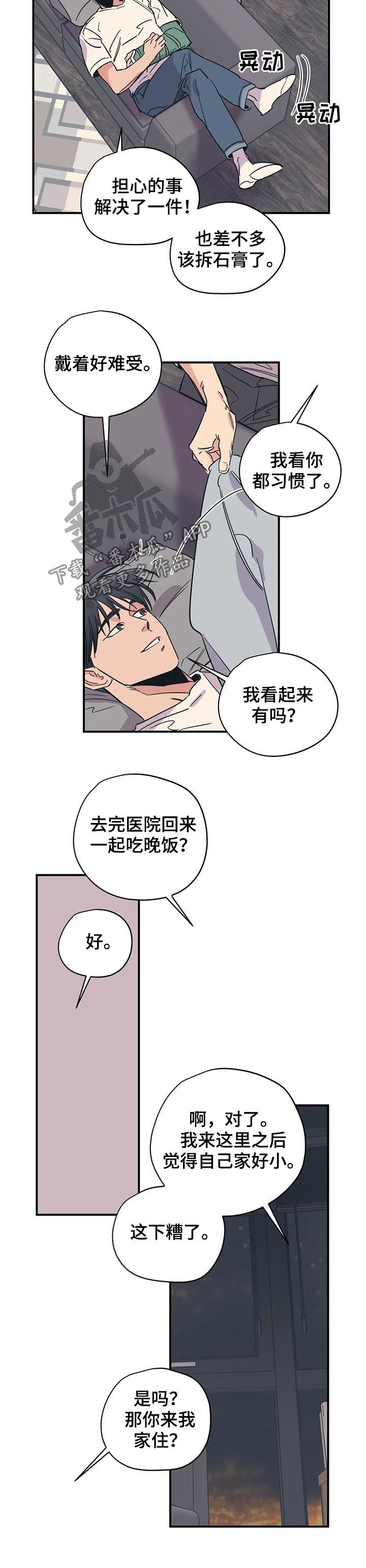 《百万浪漫史》漫画最新章节第75章：理解免费下拉式在线观看章节第【6】张图片